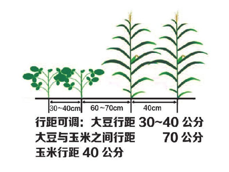 2BDYF-5型大豆玉米帶狀復合播種機